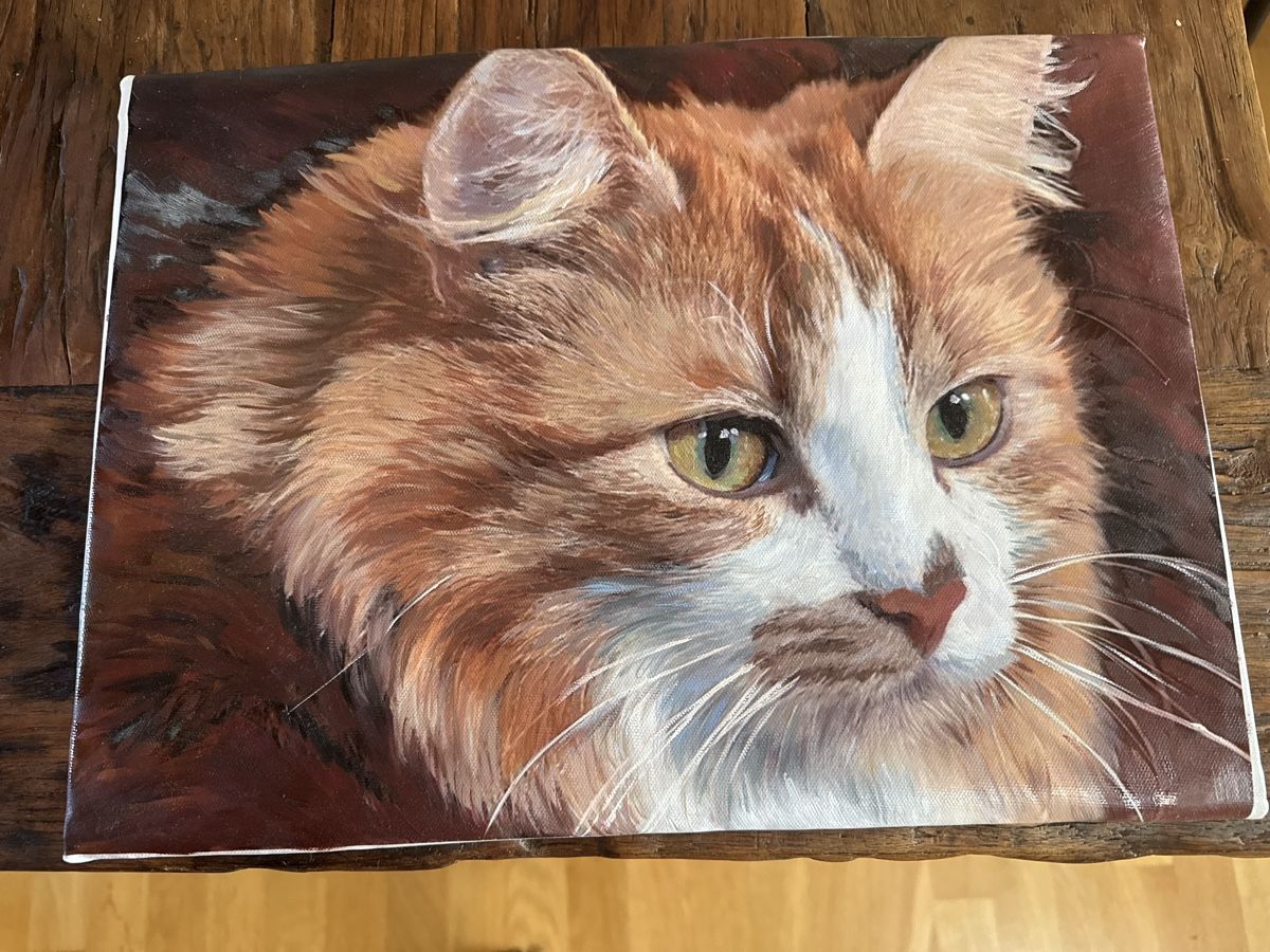 Dipinti: Original Gemälde Katze nicht signiert – Nuovo (secondo la descrizione) da Basel venduto da Joshy03