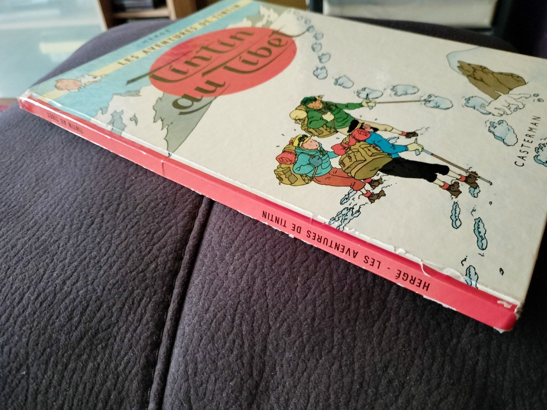 Comics: Tintin au Tibet – Gebraucht aus Cortaillod von rozinna 7