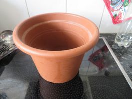 Blumentopf