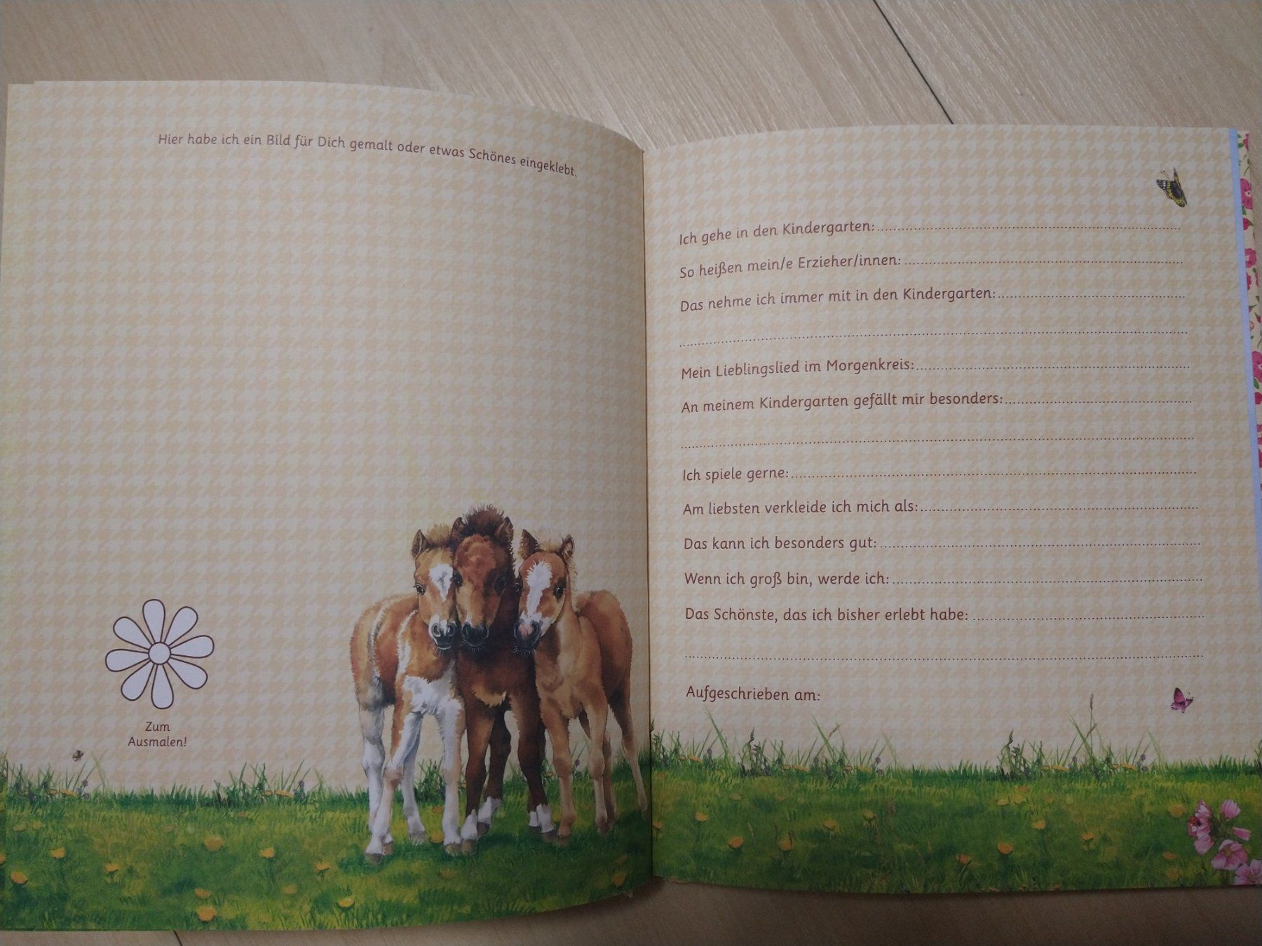 Libri: Freundebuch Kindergarten – Nuovo (secondo la descrizione) da Bätterkinden venduto da livingdreams 4