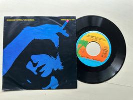 MARIANNE FAITHFULL tolle Single Lucy Jordon Kult Top Hit 80'