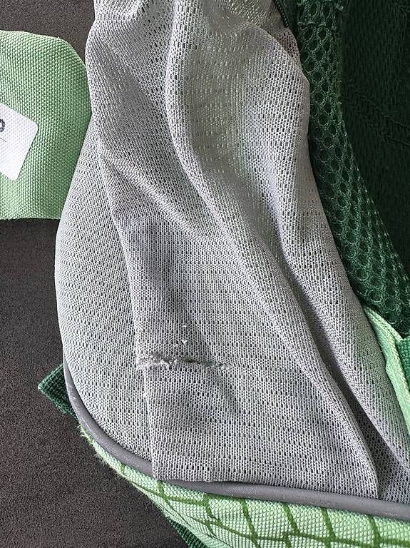 Borse & Zaini: Kinder Rucksack Dino/Drachen grün – Usato da Wangen SZ venduto da CND1203 2