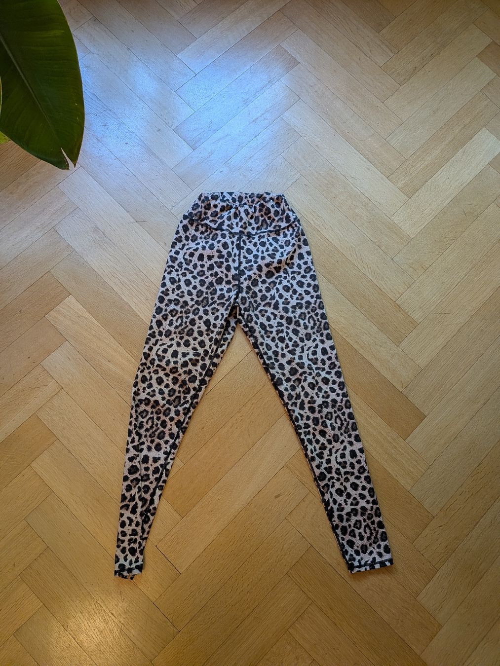 Leggings: Leggins – Usato da Bern venduto da kam_5gdn