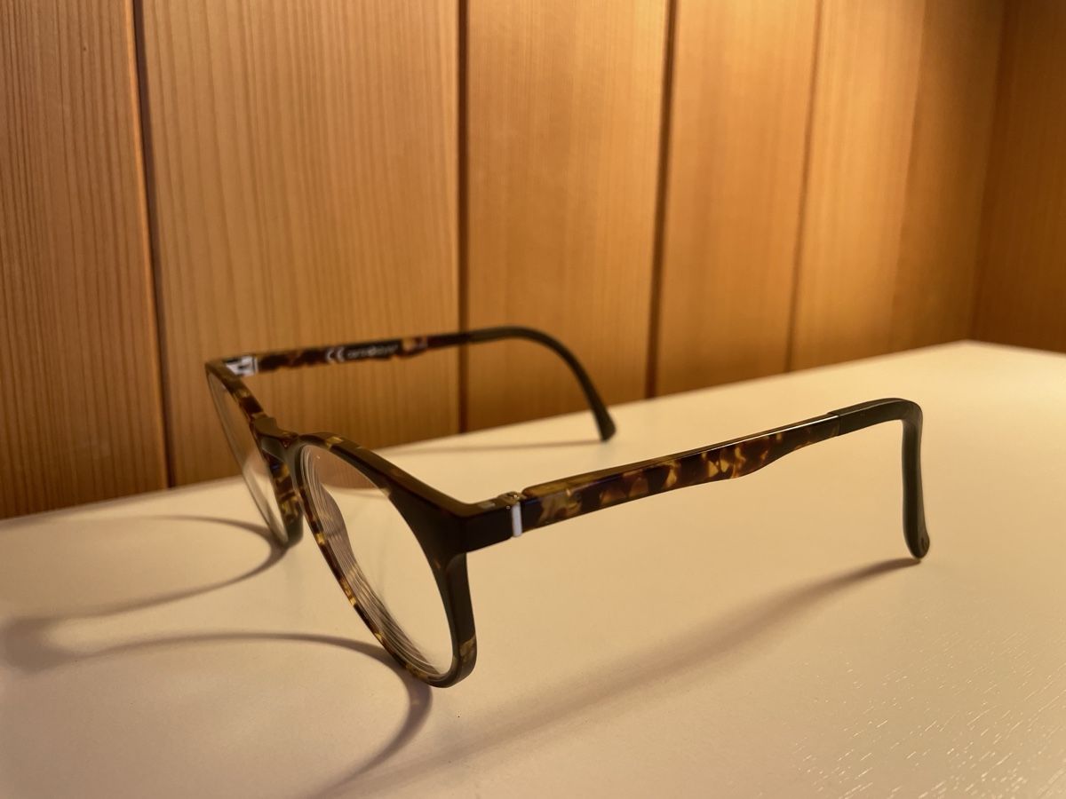 Fielmann Occhiali & Lenti: Brille inklusive Sonnenschutz – Usato da Schwanden Sigrisw venduto da jan_iine 1