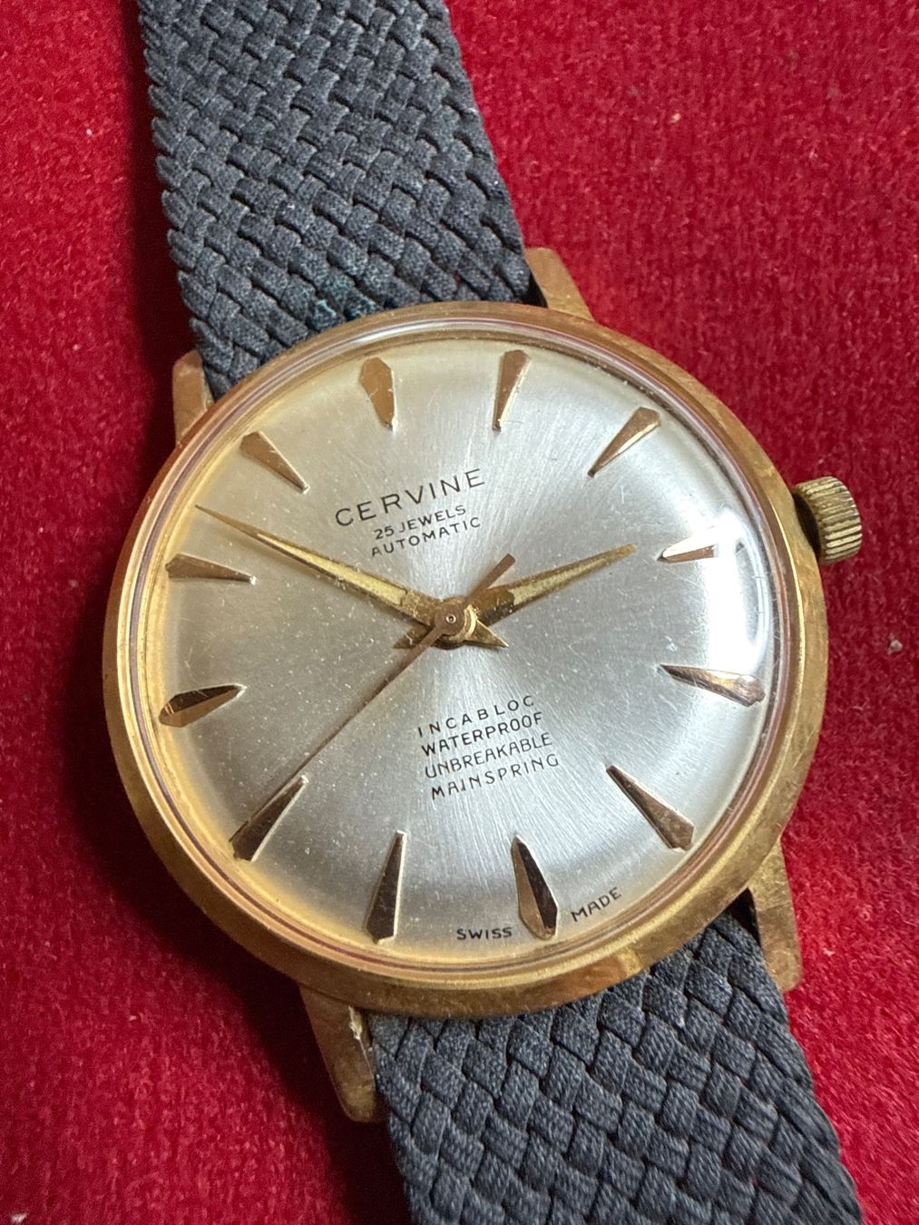 Orologi: Cervine Vintage Automatic 34 mm – Usato da Pfeffingen venduto da Allhandelklgwatches