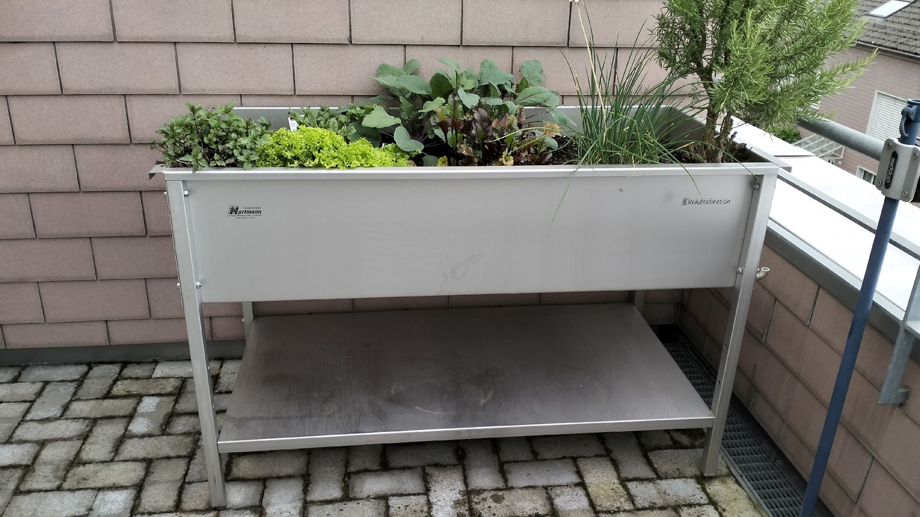 Box contenitori: Kräuterhochbeet von Hartmann – Usato da Nussbaumen AG venduto da Fuji77