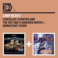 Limp Bizkit – Chocolate Starfish And The Hot Dog Flavoured