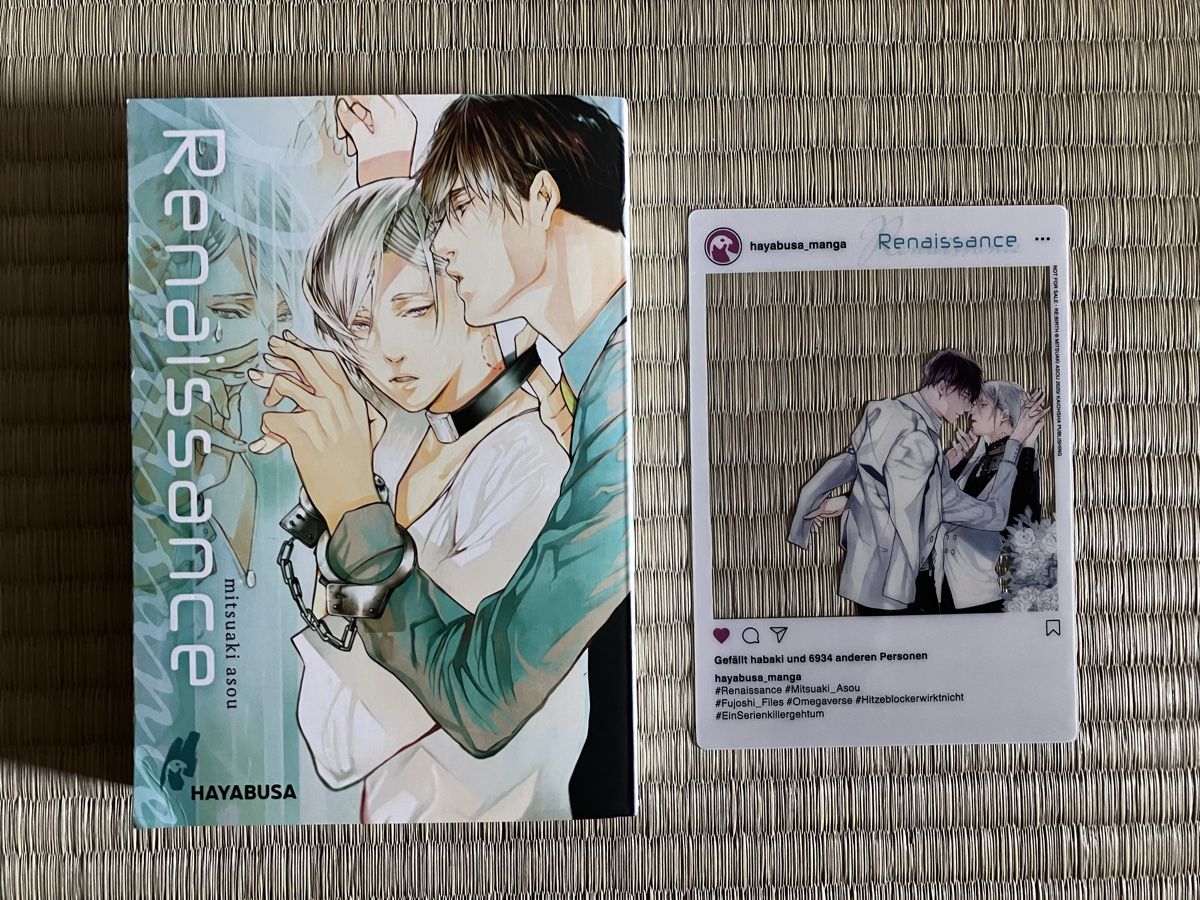 Fumetti: BL Manga Renaissance 18+ – Usato da Zürich venduto da Datura 2