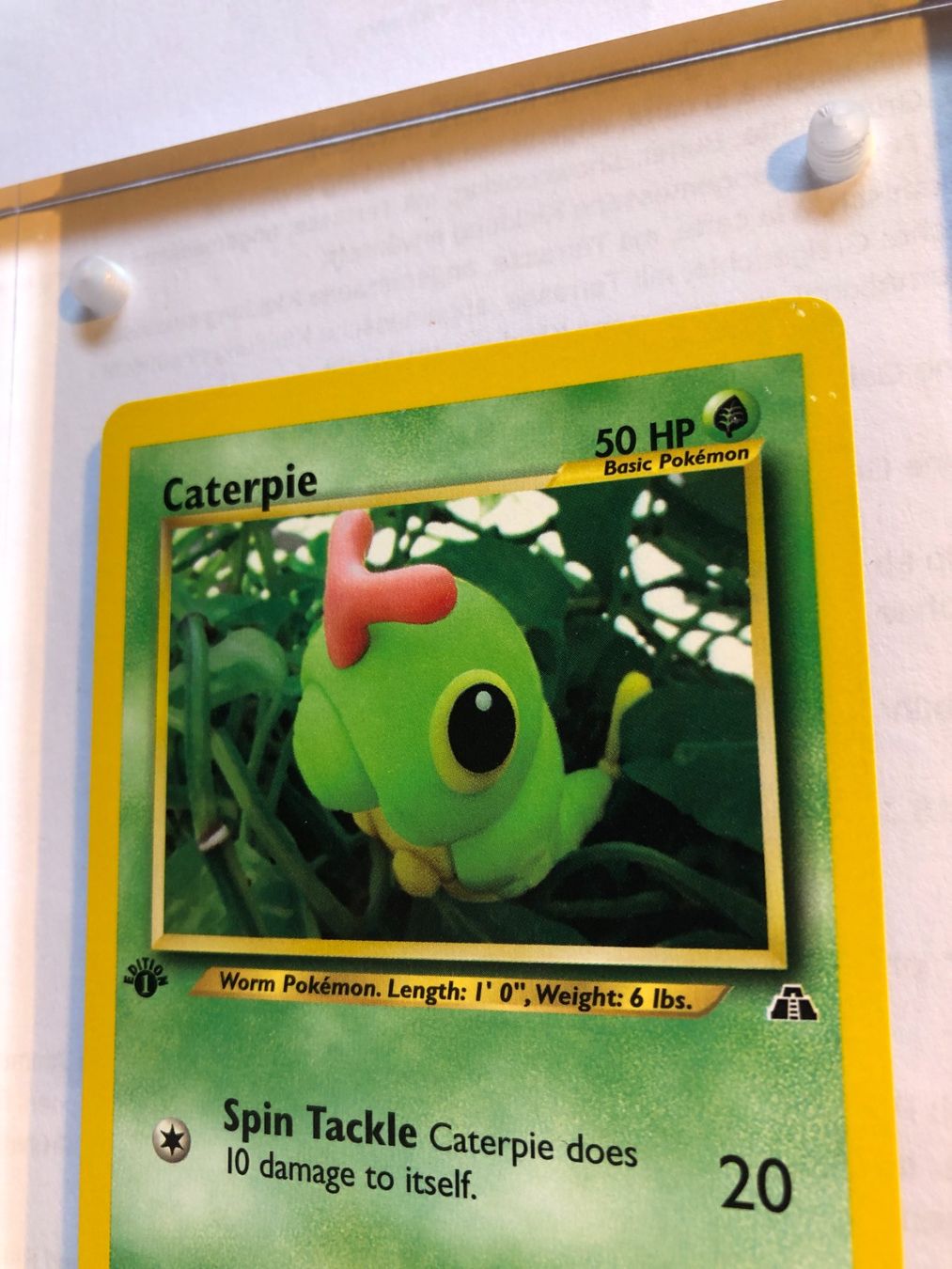 Carte collezionabili: Caterpie 1st Neo Discovery - MINT - ab 1.- – Usato da Giubiasco venduto da dan_pr8b 3