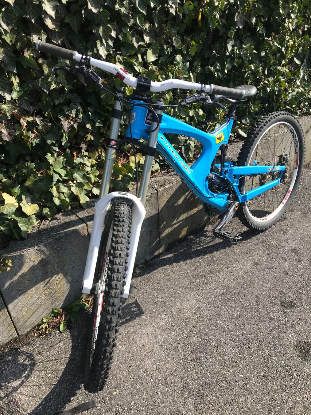 Velos: Intense M9 Downhill Bike mit Luftfederung – Gebraucht aus Baden von Gingergila 1