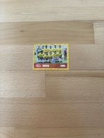 Panini WM 1994 Brasilien Sticker FWC 15  neuwertig