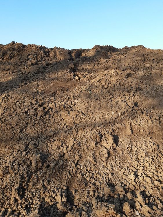Humus, Gartenerde, Erde, Mutterboden Ab 12 m3 20.pro m3 Kaufen auf