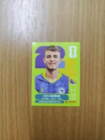 Panini WM 2026 Sticker - BIH 19
