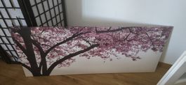 Cherry Blossom Canvas Print - Spring Decor, Ready to Hang