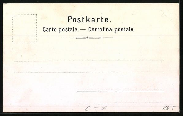 Ansichtskarten: Litho Bern, Inselspital aus der Vogelsch – Gebraucht aus Berlin von bartko-reher 1