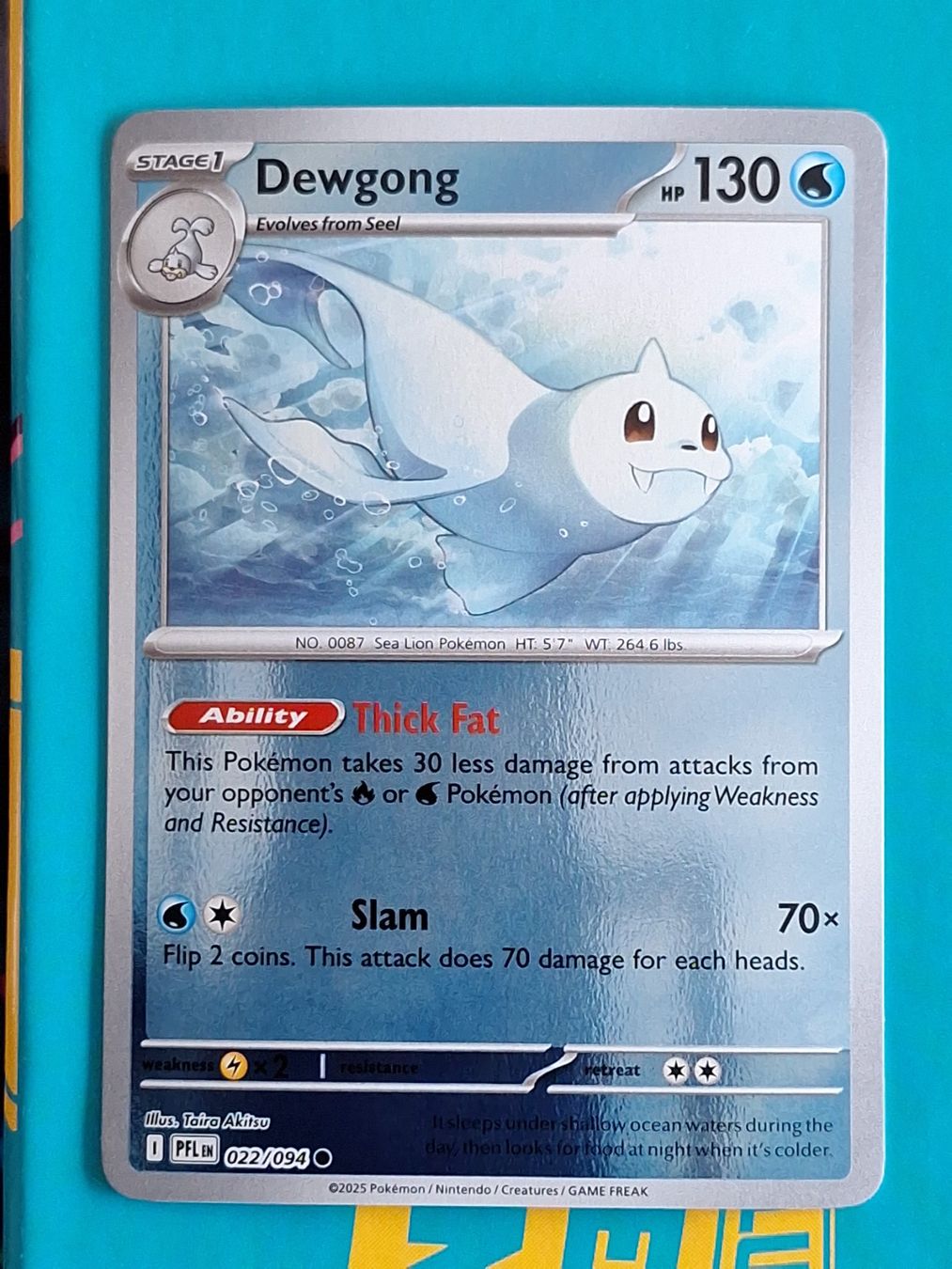 Pokémon Carte collezionabili: Dewgong - Reverse Holo - Pokemon Phantasmal Flames – Usato da Altstätten SG venduto da GGsGameshop