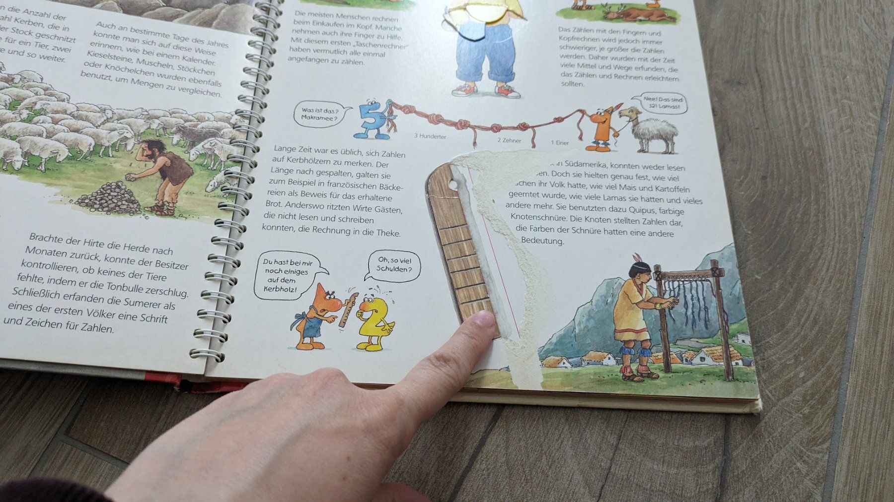 Libri: Ravensburger - Wir entdecken die Zahlen – Usato da Staufen venduto da Fleby84 1