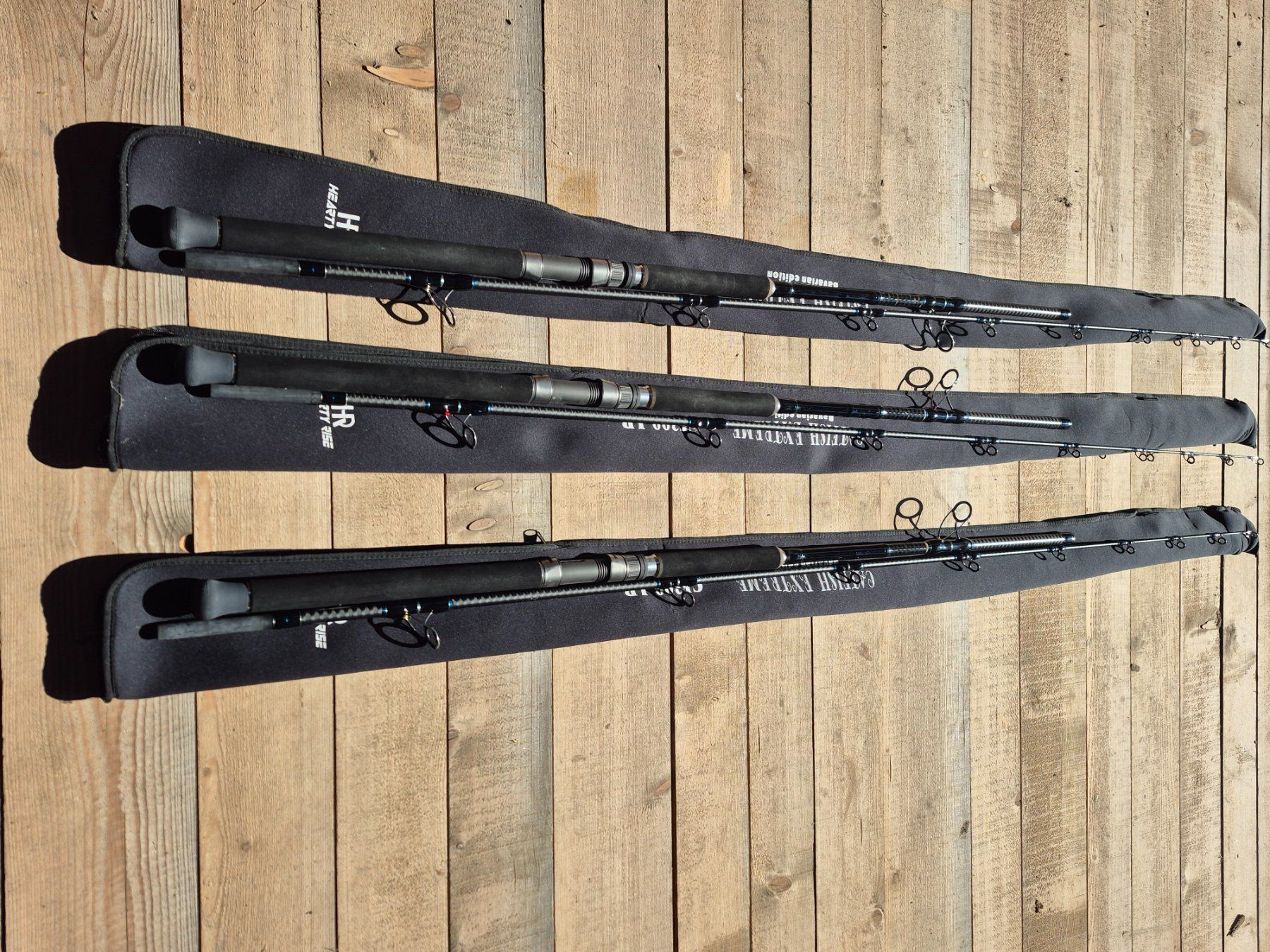 3Stk Hearty Rise CATFISH EXTREME CF-300LR 3m 250-500g (Gebraucht) in ...