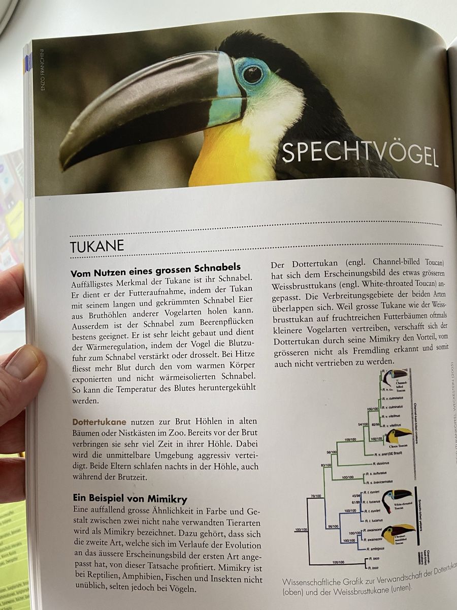 Libri: Informatives Tierbuch Zooführer, Neu! – Nuovo e nell'imballaggio originale da Wetzikon ZH venduto da Louisiana-Girl 9