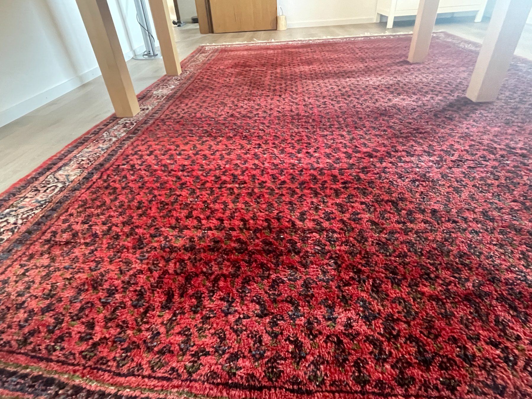 Tappeti: Teppich 246 x 355cm – Usato da Schmerikon venduto da die_8b8m 3