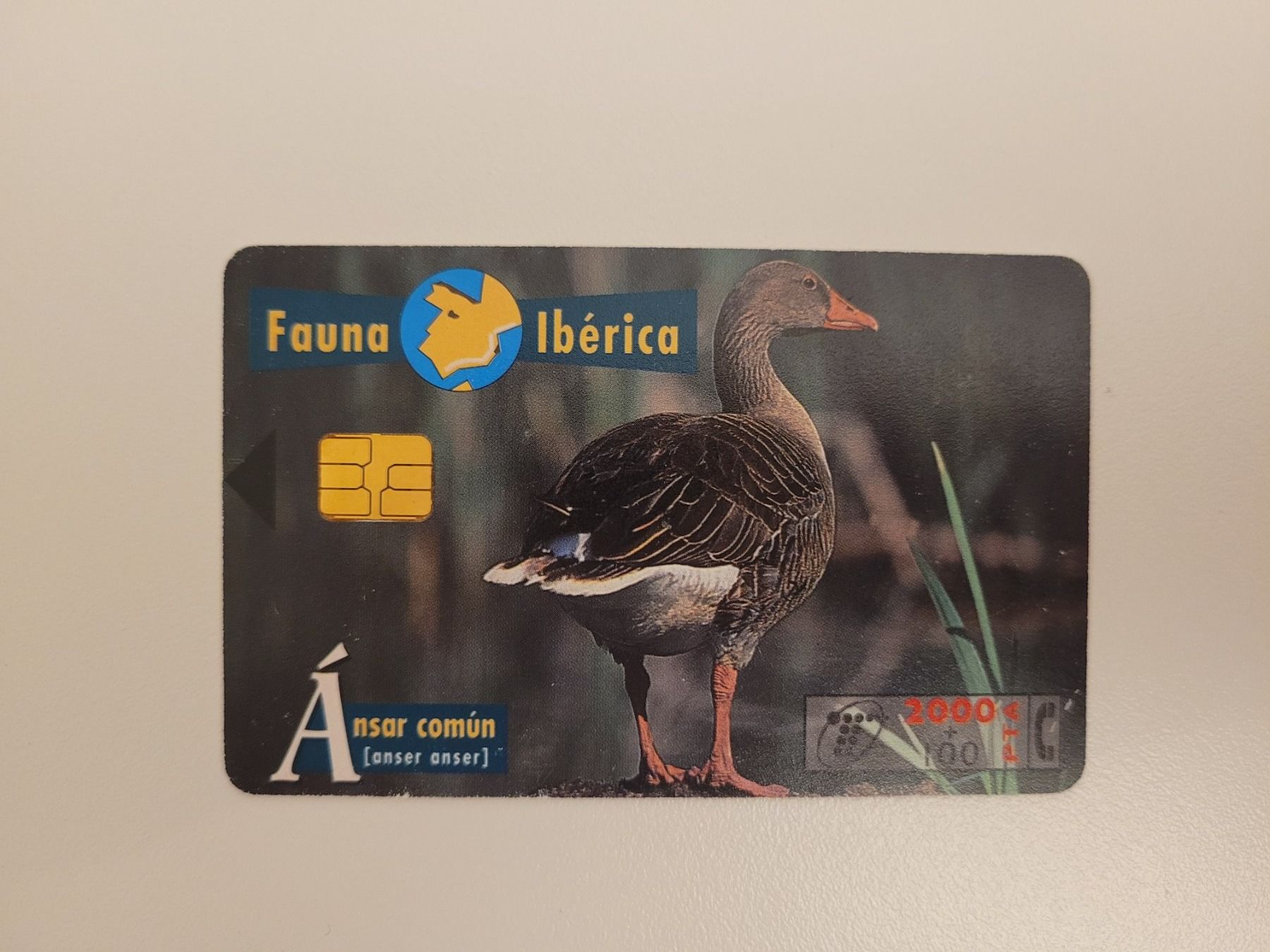 Cartes de téléphone: Telefonkarte Spanien "Gans" – D'occasion à Inwil par Flower2325