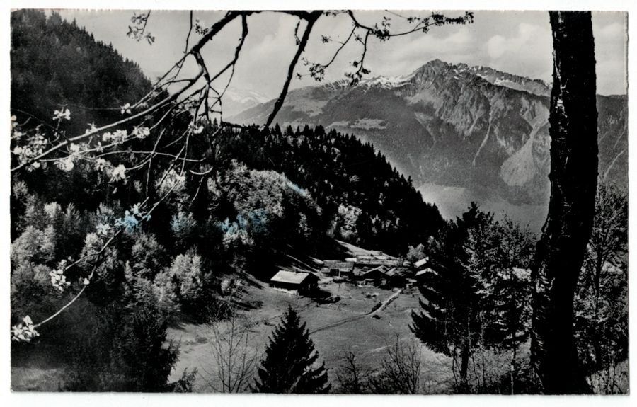 Ansichtskarten: Veyges près Leysin, vers 1940 – Gebraucht aus Frauenfeld von POML