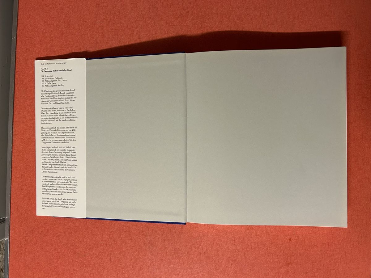 Libri: Rudolf Staechelin - Die Sammlung - Kunstbuch – Usato da Lanzenhäusern venduto da vic63 1