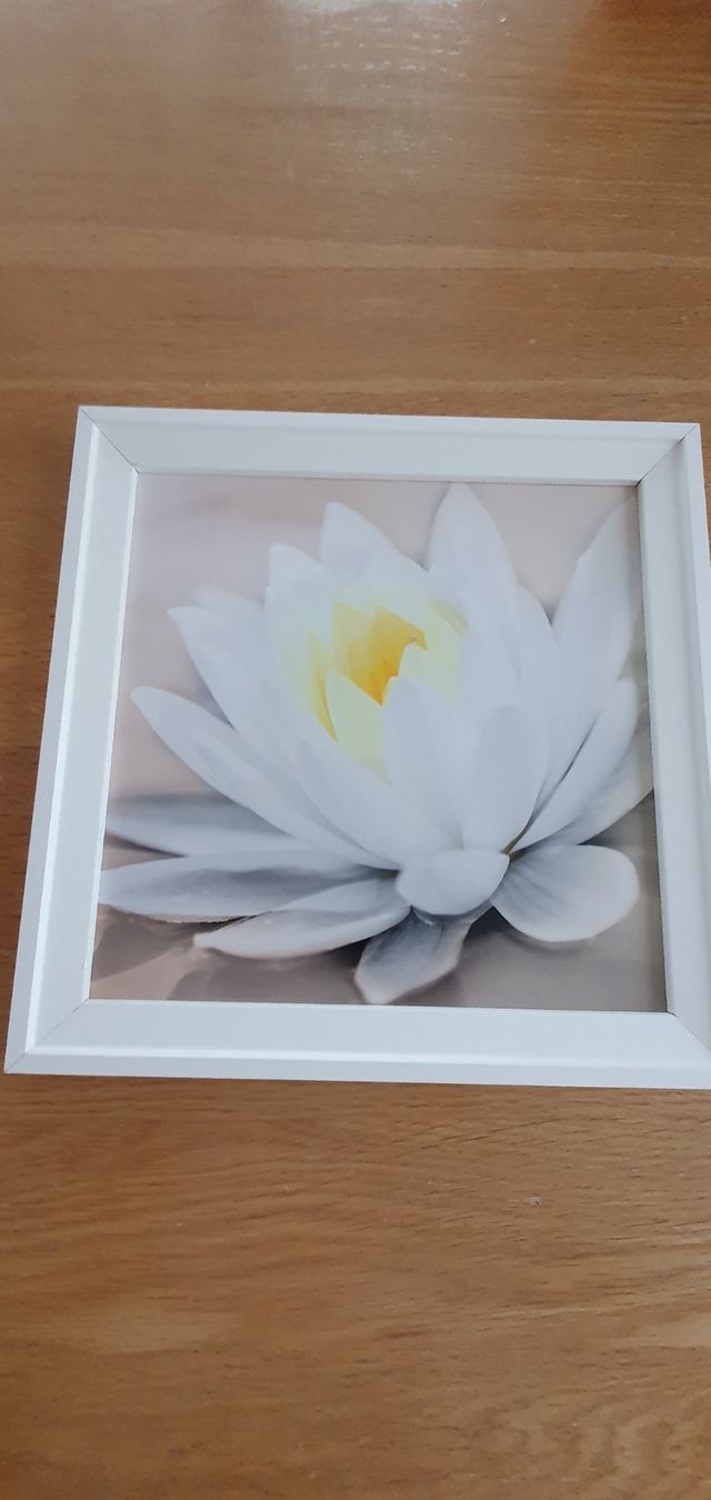 Leinwände & Keilrahmen: Petit tableau fleurs – Gebraucht aus Moutier von mai_pq7w