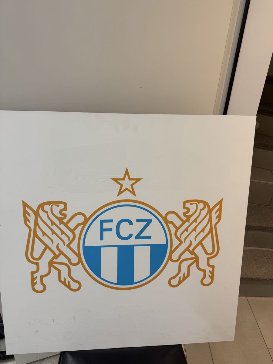 Foto & Immagini: FC Zürich Metallposter – Usato da Wallisellen venduto da nic_o08