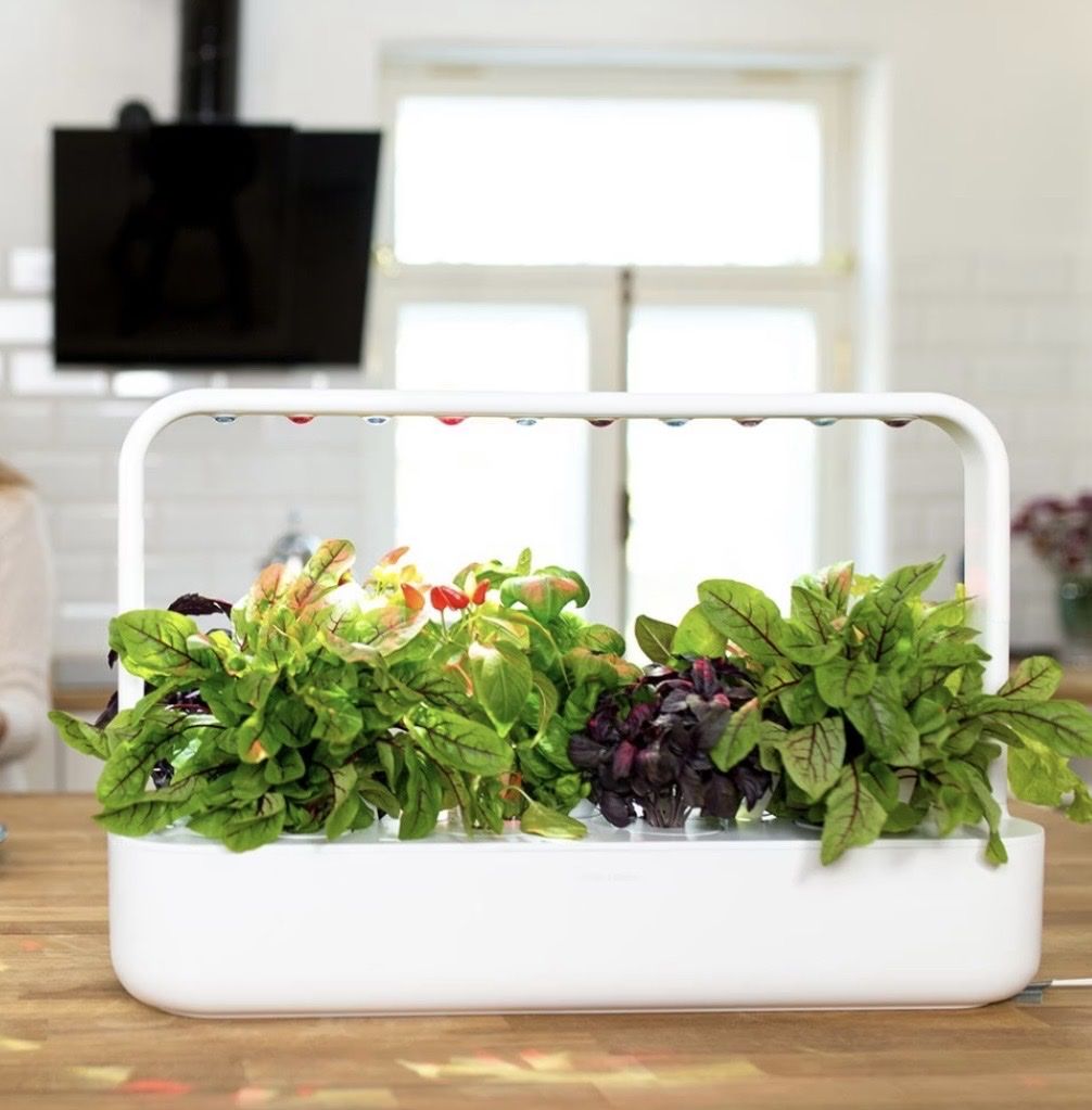 Vasi per fiori: Click and Grow Smart Garden 9 – Nuovo (secondo la descrizione) da Stalden VS venduto da san_ws9b 1