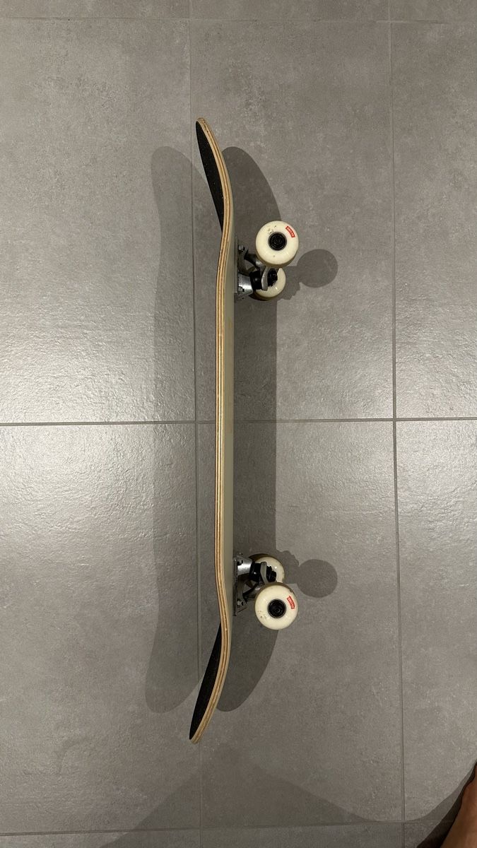 Globe Skateboards: Skateboard Globe – Usato da Meggen venduto da fdi_9jbk 2