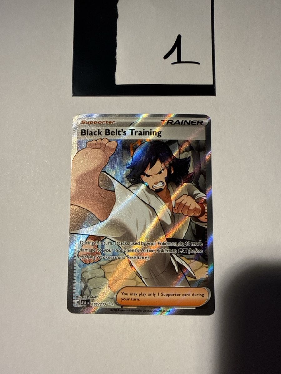 Pokémon Carte collezionabili: Black belt’s Training - 255 – Nuovo (secondo la descrizione) da Ascona venduto da Prime333389