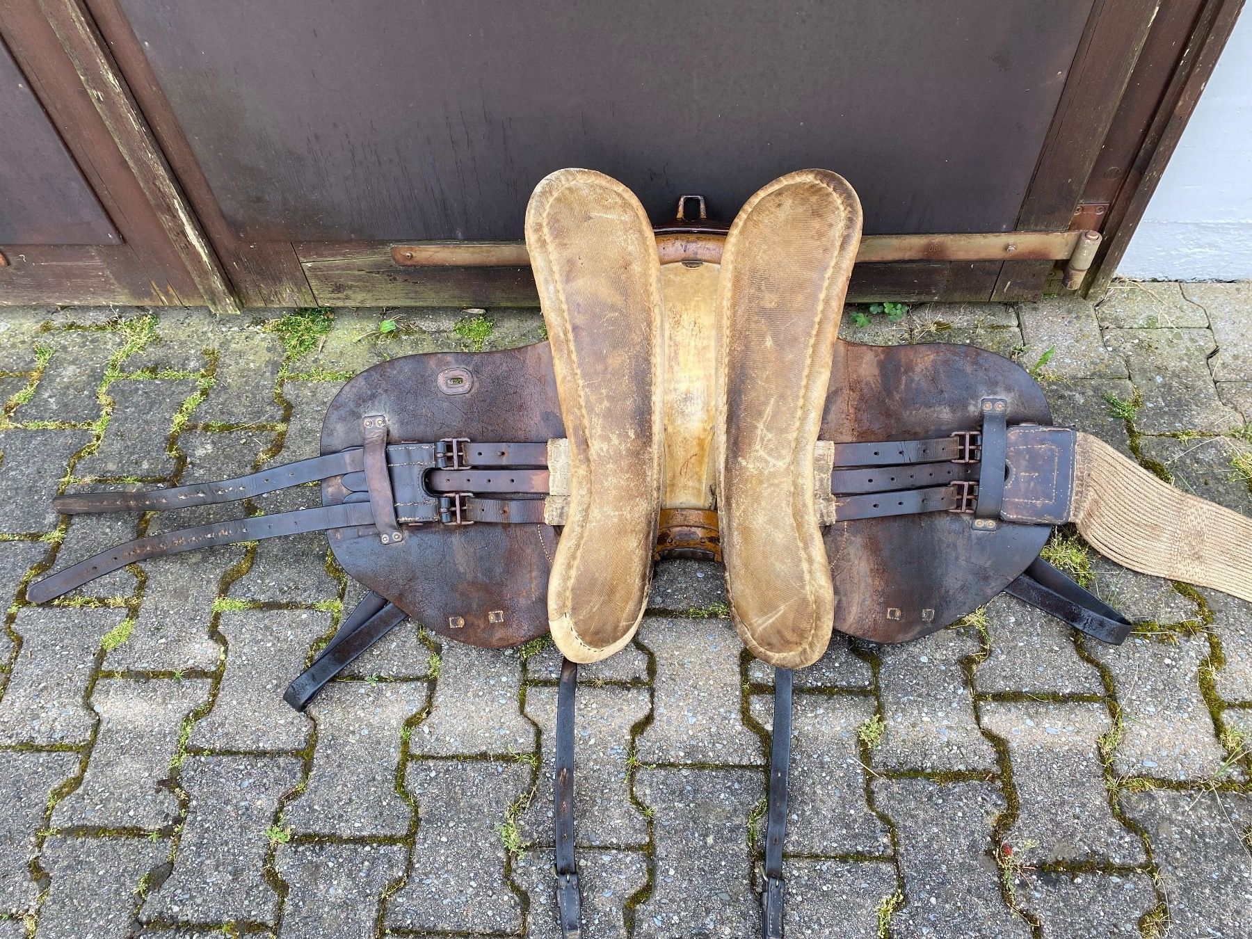 Selle & Accessori: Kavallerie Sattel Schweizer Militär – Usato da Feldbach venduto da Fea1 9