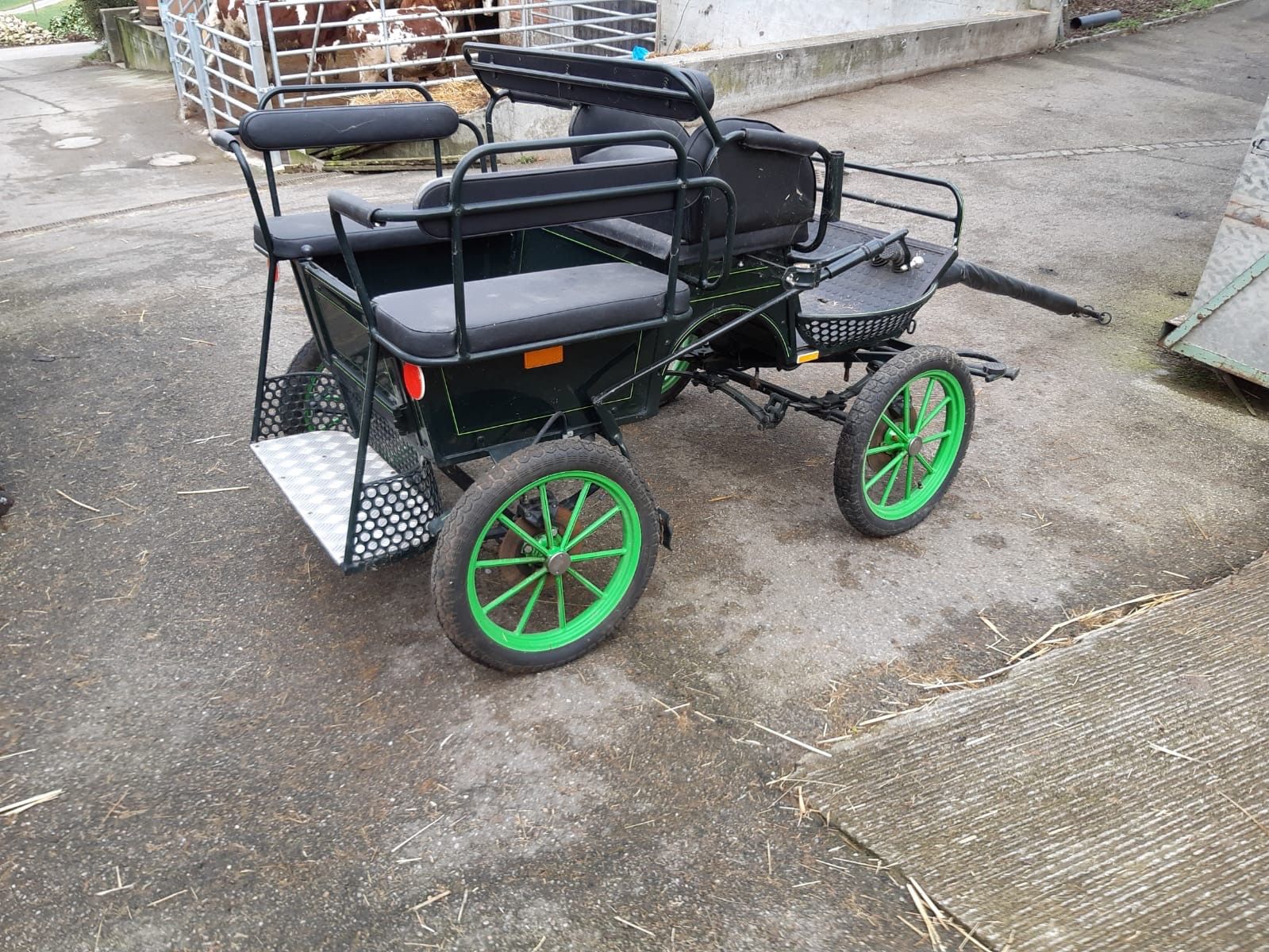 Carrozze: Pony Wagonette – Usato da Muttenz venduto da Meiglan