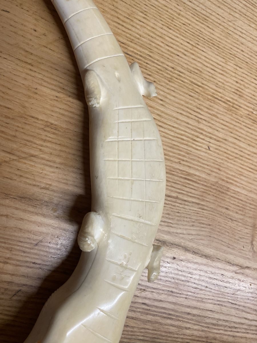 Sculture & Statue: Altes Krokodil aus Horn – Usato da Mosnang venduto da Goldwasser 4