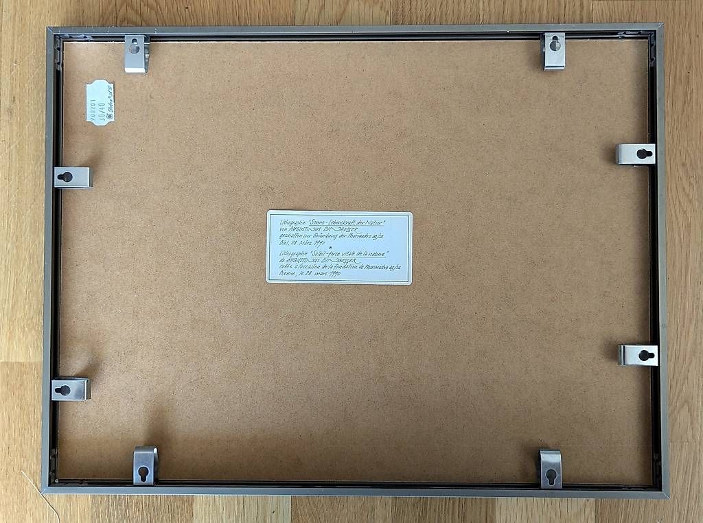 Grafiken & Lithographien: Originallithographie "Sonne - Lebenskraft der Natur". – Gebraucht aus Langnau am Albis von theeschners 4