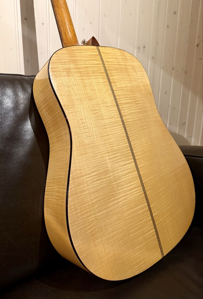 Martin & Co. Strumenti musicali: Martin SPD-16M Special Edition – Usato da Oetwil am See venduto da Davek 2