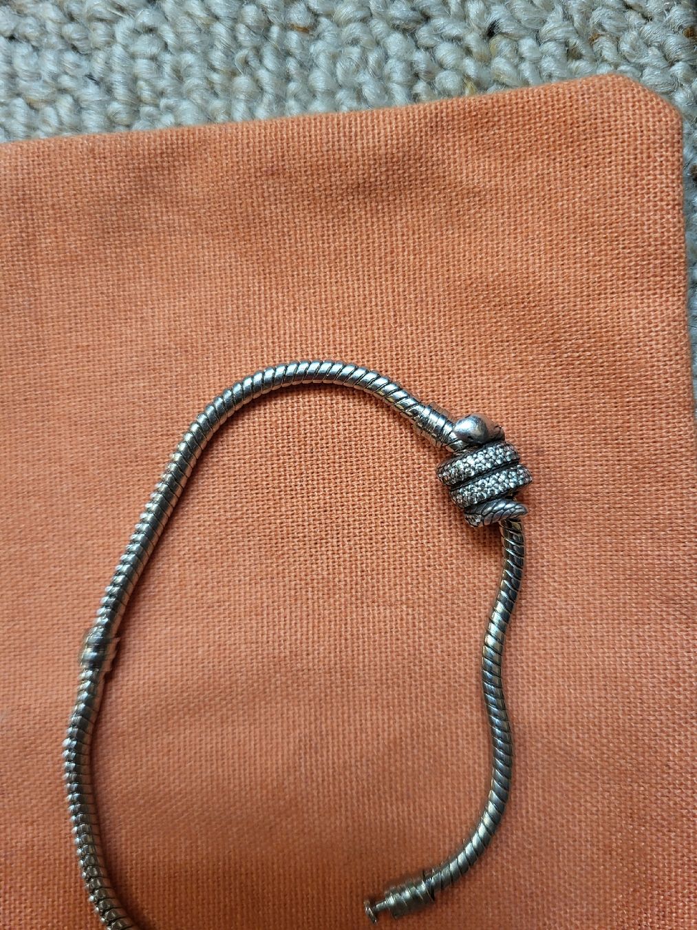 Pandora Anhänger: Schlangenförmiger Pandora-Charm – Neu (gemäss Beschreibung) aus Zweisimmen von Adorable 2