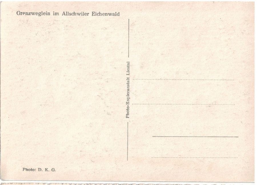 Cartoline postali: Allschwiler Eichenwald, Grenzweglein – Usato da Frauenfeld venduto da POML 1