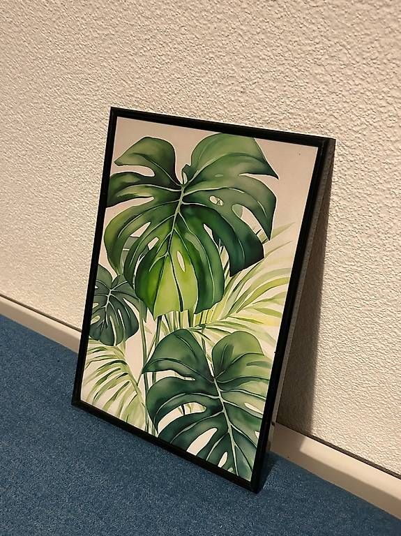 Foto & Immagini: Monstera-Blätter  Poster – Nuovo e nell'imballaggio originale da Adliswil venduto da nsm_r8qp
