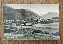 Bevers 1951