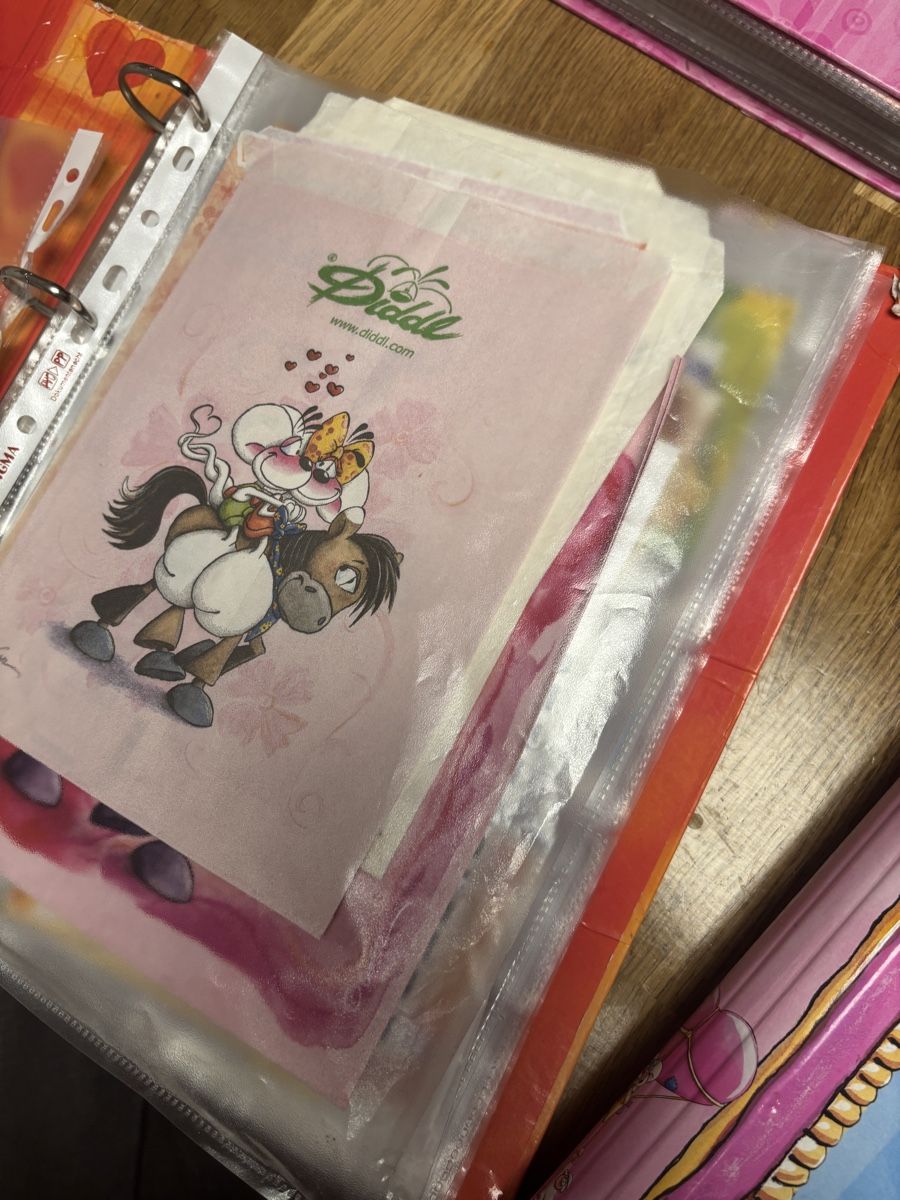 Raccoglitori: Diddl Ordner Sammlung – Usato da Amriswil venduto da thi_r29m 2