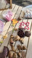 Deko Set Naturmaterialien Muscheln gebraucht
