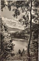 Bassin du Doubs  -  1953