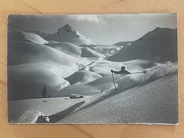 Gyger Adelboden «Schussfahrt im Pulverschnee» /Ski Skifahren
