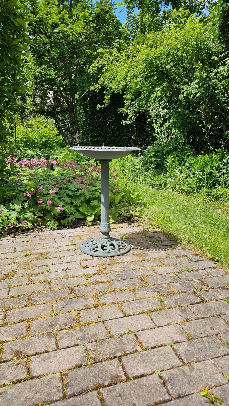 Stagni & Fontane ornamentali: Vogeltränke aus Stahl – Usato da Zürich venduto da cla_76ww