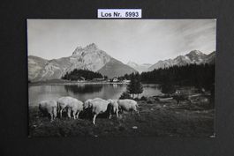 Ansichtskarte Bergidyll am Arnisee 50iger Jahre     Los 5993