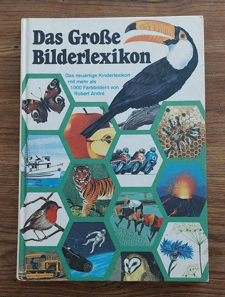 Libri: Das grosse Bilderlexikon, Kinderlexikon mit Farbbildern – Usato da Ebikon venduto da henry76