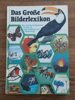 Das grosse Bilderlexikon, Kinderlexikon mit Farbbildern