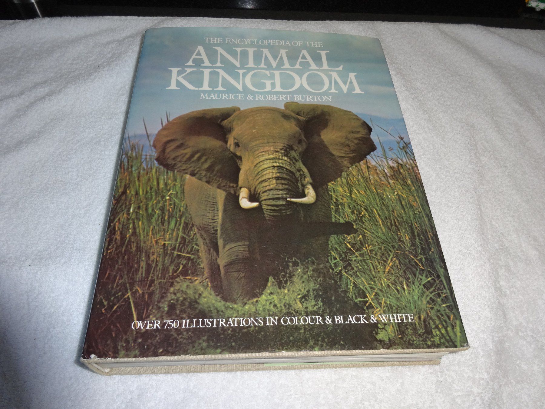Libri: Animal Kingdom – Usato da Neerach venduto da jenny062